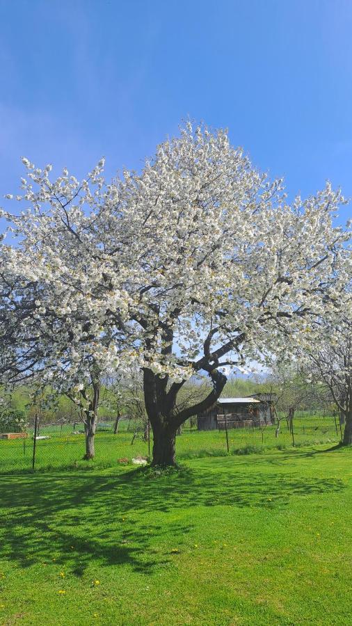 Apartmán Apartmán Turista Pavčina Lehota Exteriér fotografie